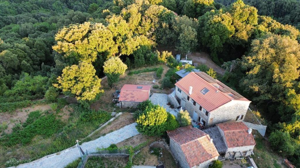 Chez Paulette - Meuble De Tourisme Classe 3 Etoiles Zonza Eksteriør billede